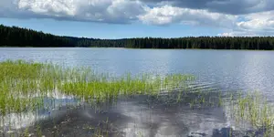 Das Bild zeigt den Ausblick auf einen See im Erzgebirge, Fasten nach Buchinger
