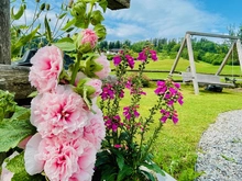Outdoor-Schaukel im idyllischen, grünen Garten mit rosa Blumen im Vordergrund im Biohotel Sommerau, Fasten nach Buchinger und Basenfasten