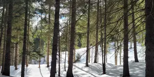 Wandern im Schnee bei Fasten nach Buchinger oder Basenfasten im Winter in Wallern mit Fastenbegleiterin Klaudia Molner
