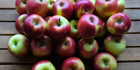 Das Bild zeigt einen Haufen Äpfel in den Farben rot-grün, Fasten nach Buchinger