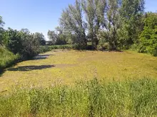 Grüne Wiese in Zarfzow, Basen- und Buchingerfasten